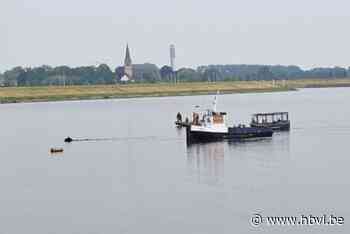 Toeristen redden paard en ruiter uit de Maas: “Drie boten dreven beest naar de oever”