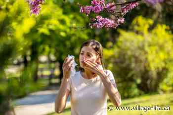 Don't let seasonal allergies get you down this spring with these expert tips