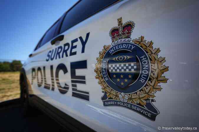 Court backs transition to municipal police force in Surrey, B.C.