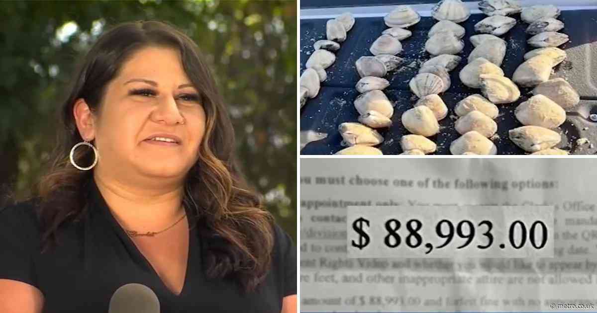 Mom fined $88,000 after her kids collect clams they mistook for shells on beach
