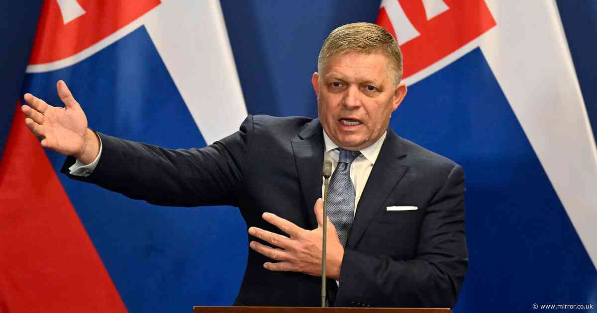 Attempted assassination of Slovakian PM is grim warning to UK ahead of toxic election