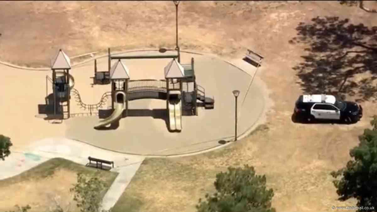 Mystery as one-year-old boy is found dead in California playground and father arrested