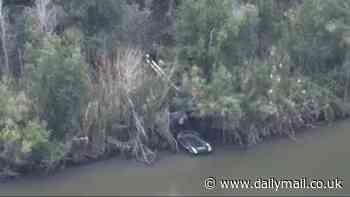 Drone video shows teenage smuggler in action on the border as he leads group in a boat then tries to scale wall with a ladder before being arrested