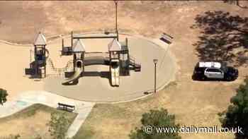 Mystery as one-year-old boy is found dead in California playground and father is arrested
