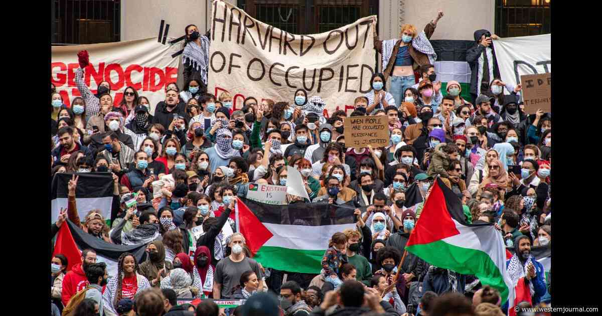 Watch: Harvard Commencement Ceremony Turns into Disaster as Hundreds of Anti-Israel Students Walk Out