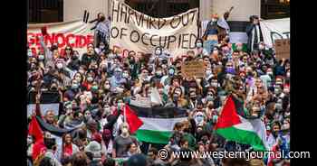 Watch: Harvard Commencement Ceremony Turns into Disaster as Hundreds of Anti-Israel Students Walk Out