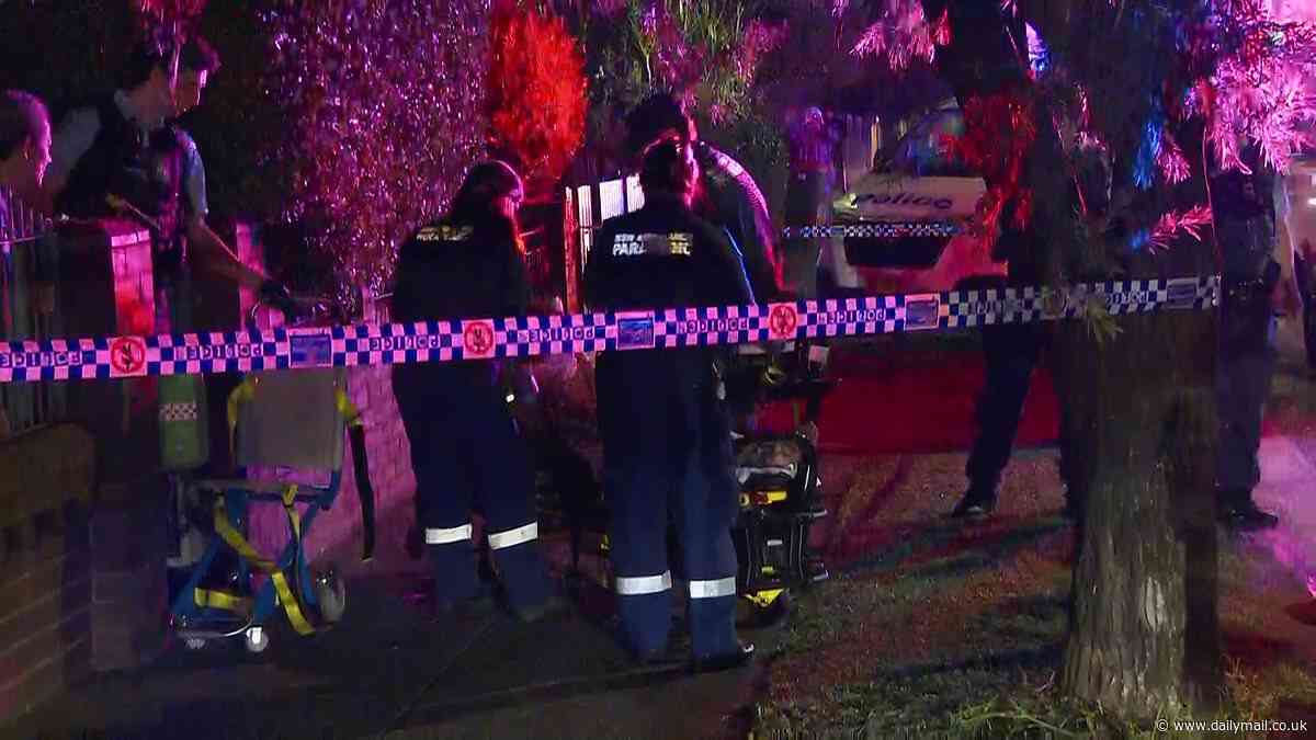 Marrickville stabbing: Man allegedly stabs brother and mother