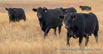 Time to check livestock’s trace mineral levels