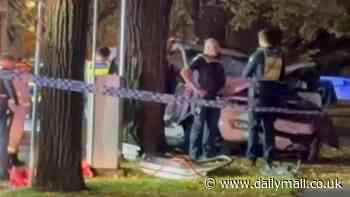 St Kilda, Melbourne: Driver rushed to hospital aftertree and becoming trapped in their car