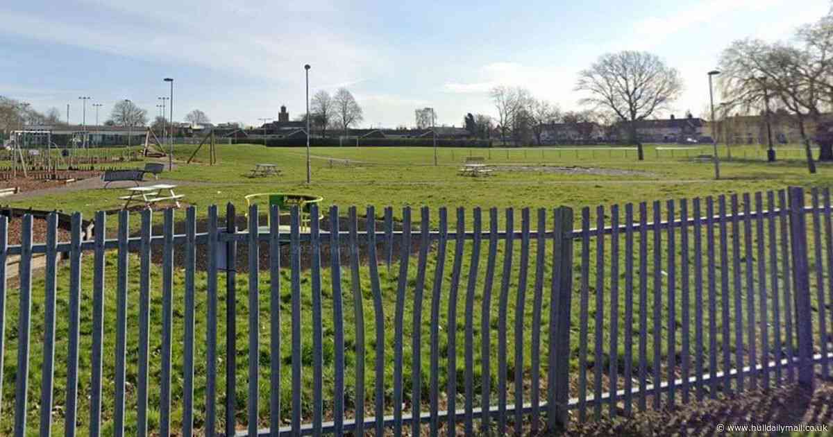 Mum's horror as 13-year-old son 'could have been killed' when he was 'punched unconscious' in Hull park