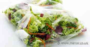 Man's salad storage experiment finally determines best way to keep it fresh for longer