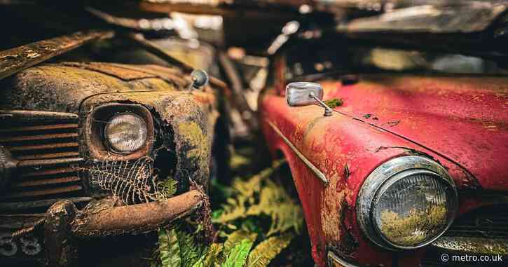 Woman finds 50 vintage cars hidden in a crumbling barn in the middle of a forest