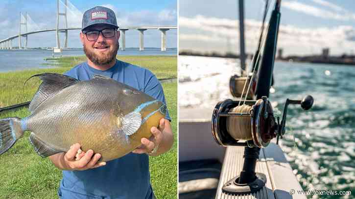 Georgia angler hooks unique-looking fish, snags state record two months after it's broken