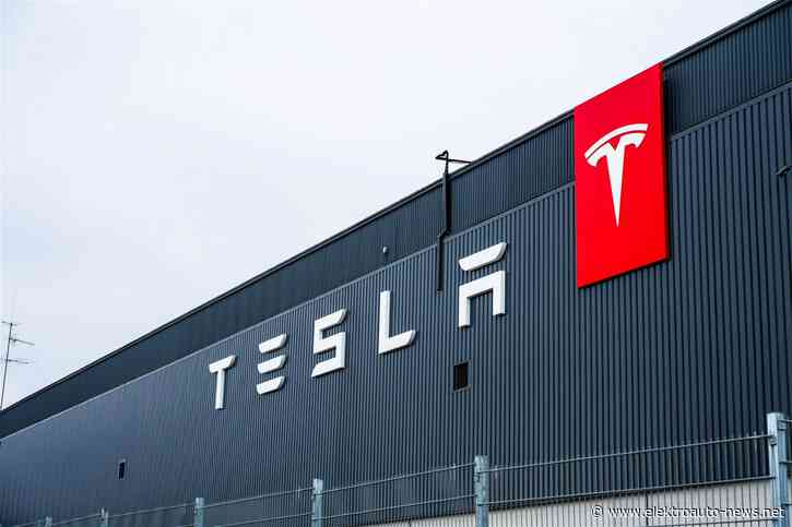 Tesla Model Y: Produktionsrückgang in Shanghai