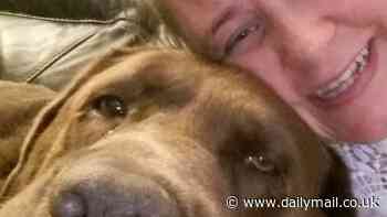 Mother and son avoid jail after their two Rottweilers fatally savaged dog lover, 40, when she stopped to stroke them