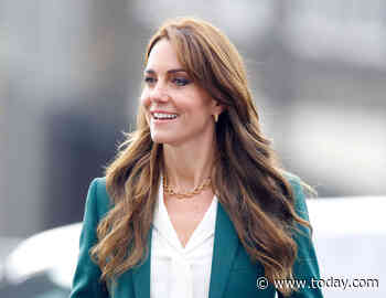 Kate Middleton's new portrait divides royal watchers: 'Lovely' or 'not HRH' at all?
