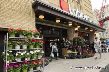 Competition Bureau probes alleged anticompetitive conduct by Loblaws, Sobeys owners