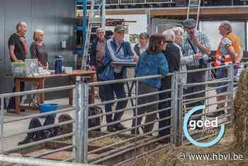 Landelijke Gilde brengt bezoek aan schapenhouderij in Vorst-Laakdal