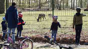Hirschpark bekommt neuen Zaun – kein Kontakt mehr mit Tieren