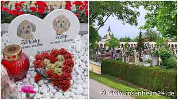 Tier-Bestattungen auf Aiblinger Friedhof? Im Stadtrat gehen die Meinungen stark auseinander