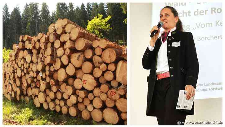 Zwischen Export und lokaler Nutzung: Bedeutung von Holz für Klimaschutz und Fichte als Auslaufmodell?