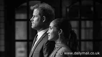 Harry and Meghan picture taken by the couple's close friend is given a permanent home at London's National Portrait Gallery... where the Princess of Wales is a patron
