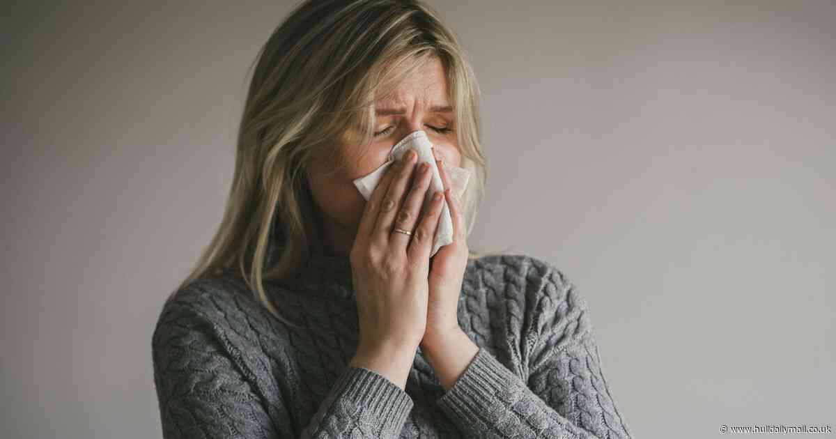 Top household items which trigger sneezing fits for Brits named as allergy season takes hold