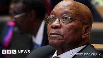 'South Africa trusts me' - Jacob Zuma talks to the BBC