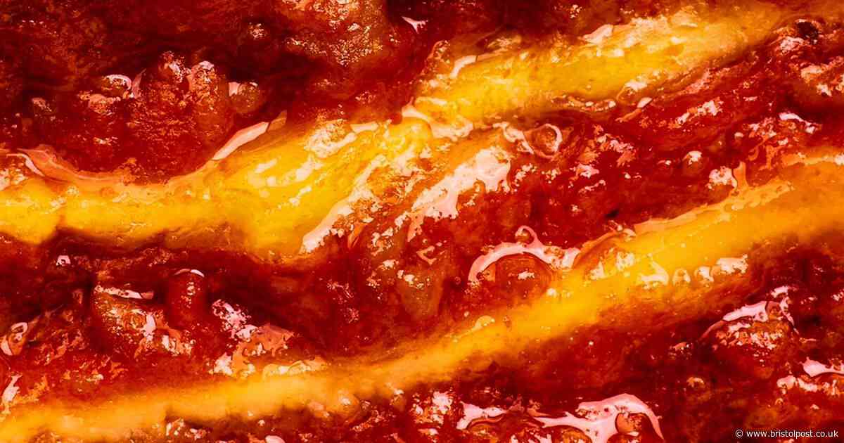 Free lasagne being given away to mark launch of new film