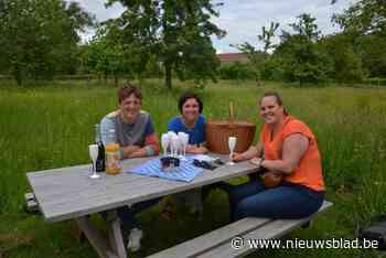 Picknicken kan voortaan op vijftien picknickbanken in Lennik: “ze maken deel uit van onze nieuw ingerichte rustplekjes”