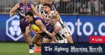 AFL round 11 LIVE updates: Harrison, Mihocek lift as Magpies fightback against Dockers