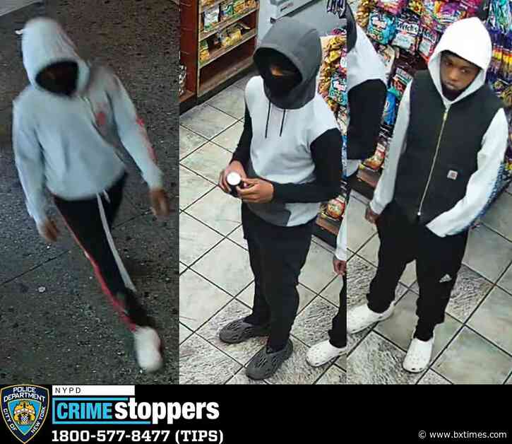 Suspects sought in robbery spree that targeted victims inside of Bronx Park: NYPD
