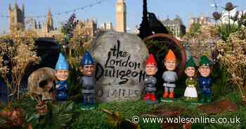 'Party leaders' turn up at London Dungeon for flower show display