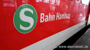 Sexuelle Belästigung und Körperverletzung in S-Bahn