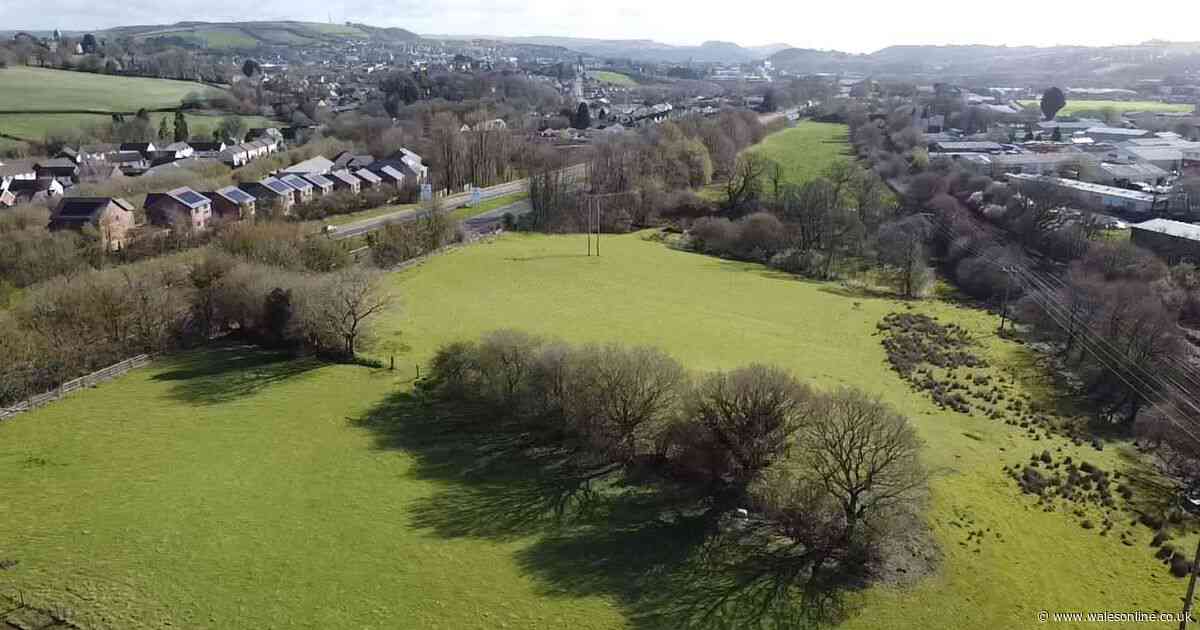 These green paddocks will be turned into an industrial hub if councillors agree