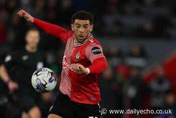Southampton issue definitive Wembley update on Adams and Stewart