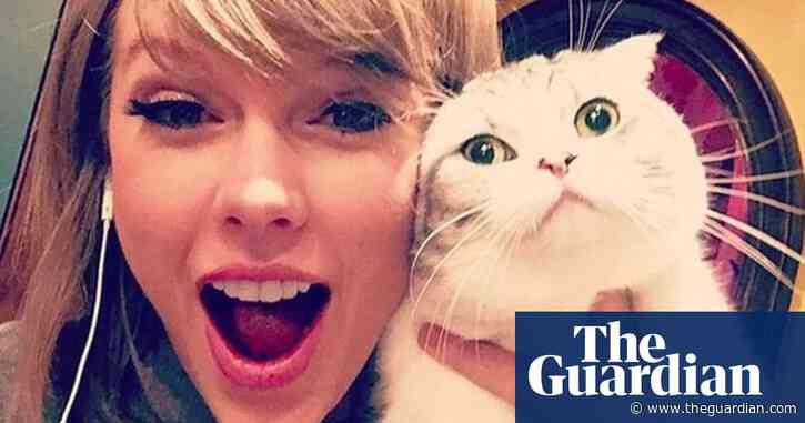 Taylor Swift’s cats have condition that causes constant pain, say experts