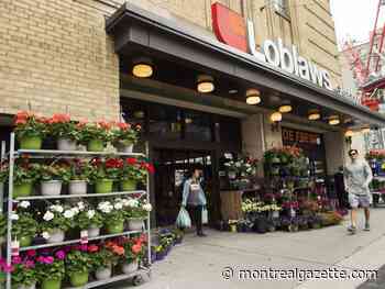 Competition Bureau probes alleged anticompetitive conduct by Loblaws, Sobeys owners