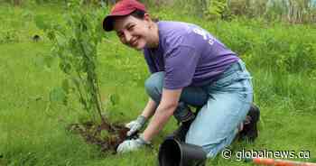 Siemens Canada plants 100 trees, shrubs at Riverview Park and Zoo in Peterborough, Ont.