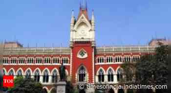 High court stays probe against staff in WB Raj Bhavan 'molestation' case