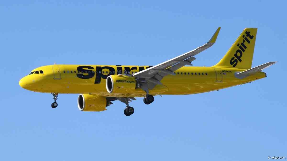 Spirit Airlines will apply for nonstop flights from Reagan National to San Jose