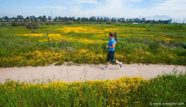 Irvine’s park system again ranked best among California cities