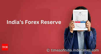 India's forex kitty reaches new high of $648.7 bn after $4.55 bn jump