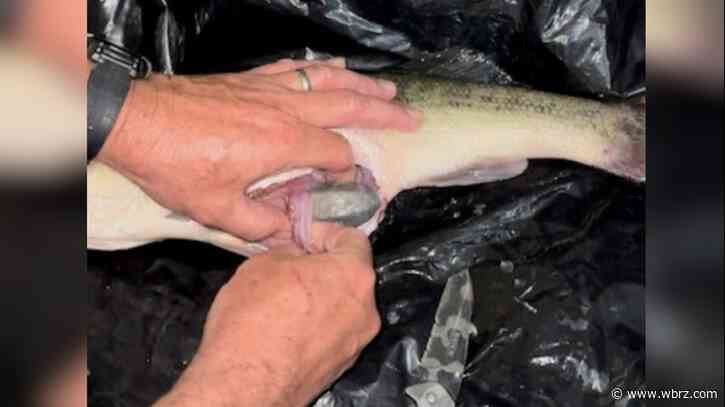 Pollock man arrested for rigging fishing contest by weighting bass