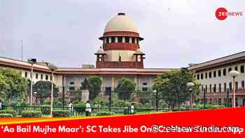 Supreme Court Takes `Aa Bail Mujhe Maar` Jibe At Election Commission`s Real-Time Voter Turnout App, Know Why?
