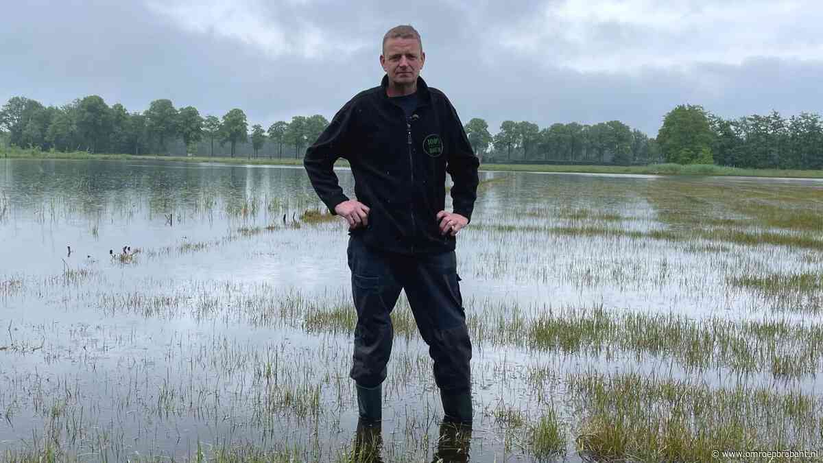 De vele regen kan het einde betekenen voor deze boer: 'Maar we houden hoop'