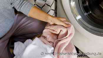 Hygiene bei Handtüchern – wie oft sollte man die Tücher daheim wechseln?