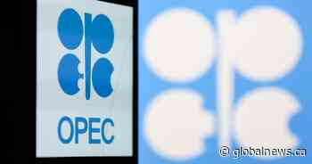 What is OPEC and how does it affect oil prices?