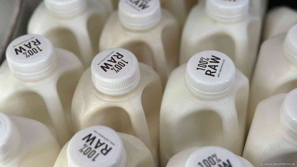 Alert as bird flu found in 'raw' cow's milk - and it may be able to survive heat treatment and refrigeration, say scientists