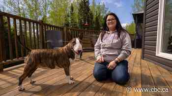 Westminster's 'best terrier' returns home to Thunder Bay
